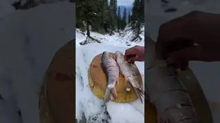 Fishing & Cooking in Snow Amsr Nature's 🎣#OutdoorCooking #SnowAdventure #AmsrCooked #WildernessCooke