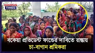 বকেয়া প্রভিডেন্ট ফান্ডের দা'বিতে রাস্তায় চা বাগান শ্রমিকরা |  Tea Workers Protest | Campus Times