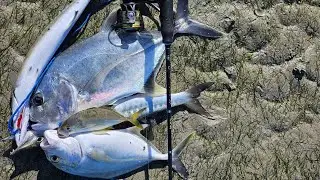 KAWAN SAMPE BINGUNG.. KOK  SAYA BISA  STRIKE TERUS 🤣😁🎣