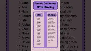 Top Female Cat Names With Meaning in 2025 #cats #catnames #kitty #catvideos #viral