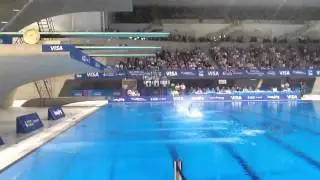 Tom Daley Peter Waterfield 5255b in final