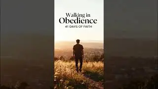 Episode 11  Daily Dependence