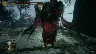 Elden Ring , I hate damage negation..