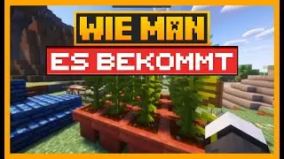 Wie man Flachs anbaut und Gras in Minecraft-Erg&auml;nzungsmitteln verwendet