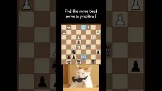 Chess Puzzle(Easy)#chess#problemsolving#problemsolvingstrategies#games#brilliant  #chessgames