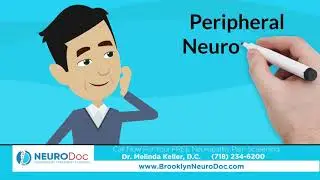 Dr Melinda Keller NeuroDOC 301