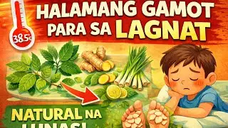 Natural na Lunas sa Lagnat 🌡️ | Mga Halamang Gamot at Tamang Paggamit