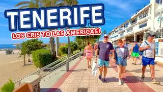 LOS CRISTIANOS to LAS AMERICAS / Tenerife, Canary Islands