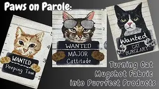 Paws & Probation: Cat Mugshot Crafts You&rsquo;ll Adore  #catlover #cats  #catvideos #catlovers
