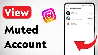 How To View Muted Account on Instagram (Updated)