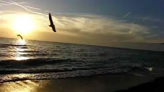 CIMG0091