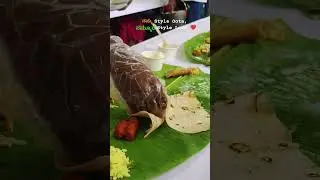 Good food & Happy vibes✨ #desivibes #celebration #indiantradition #viralvideo  #culturalcelebration