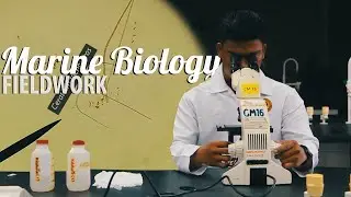 Marine Biology Fieldwork