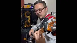 Bass line Reverdecer #markbass #markbassamp #markbassfamily