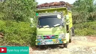 Si hijau 💚 muat sawit , oleng 