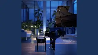 Soft Piano Echoes for Animal Rest