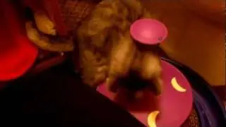 Pixel & Gadget playing with toys - Highlander kittens