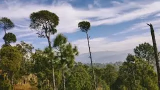 SIMTOLA ECO PARK | KASAR DEVI | ALMORA