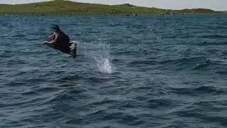 Sm&oslash;la