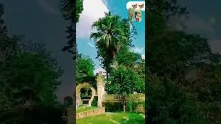 Garden of Dreams ✨🦋💗 Beautiful gardens of Nepal 🇳🇵