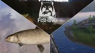 Gro&szlig;e Bodenrenke auf Pose - Ehrenfischer Tunguska | Russian Fishing 4