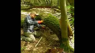 building skills. shelter. safety in the wild forest #camping #survival #Outdoors #2026 #build 