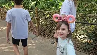 The Key to Disneyland Experience