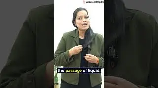 How to Tell if You're Leaking or Passing Urine During Pregnancy | Wellmed Hospital Guide.