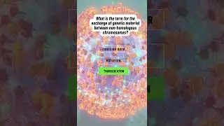 Translocation  #mentalhealth #geneexpression#researchawards #genomics  #geneinteraction #biology