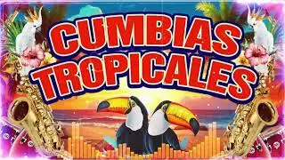 VIEJITAS MIX 2026🎺CUMBIAS PARA BAILAR TODA LA NOCHE✨LO MEJOR DE TROPICAL DEL BRAVO,ACAPULCO TROPICAL