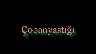 Aynur İsgəndərli - Çobanyastığı