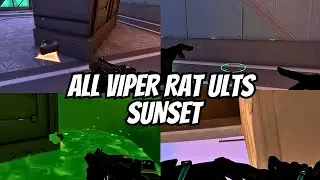 BEST Viper RAT Ults in SUNSET