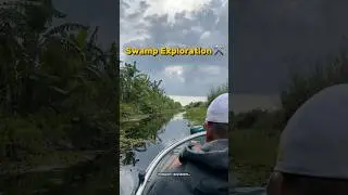 Swamp Exploration 😎⚒️🫵🏻 #geolog&iacute;a #geology #geologist #swamp #swamplife #geologyfacts
