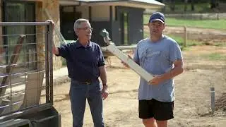 Treated Timber