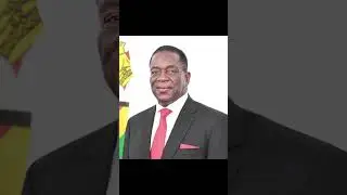 When Robert Mugabe was removed, Zimbabwe rejoiced