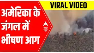 Top viral news stories of the day | 27 April 2022