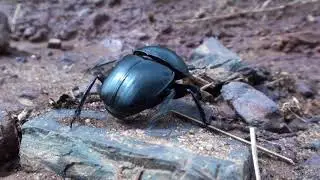 Malolotja Nature Reserve | eSwatini
