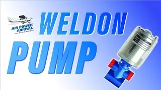 Weldon VS Duke's Pumps