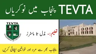 TEVTA Jobs 2022 | Tevta Jobs 2022 In Punjab | Application Form For Tevta Jobs | TEVTA Jobs In Punjab