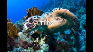 Top Places To Visit In Egypt