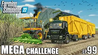 Sugarcane HARVEST and LOAD with KRONE BUTCHER | MEGA Challenge | Farming Simulator 22 #99