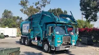 36011