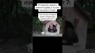 10 января 2024 г.
