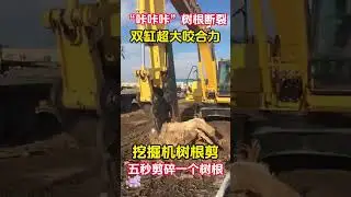 Hook machine hydraulic shears, root digger, excavator stump root digging and shearing machine, shear