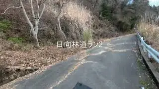 日向林道ラン2 伊勢原,神奈川,日本/Runnninng on the HINATA Forest Road No.2 in ISEHARA,KANAGAWA,JAPAN