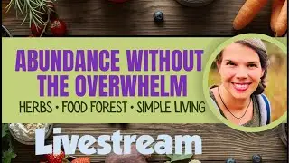 Live: The Simple Secret to Abundance (Without the Overwhelm)
