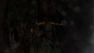 Tomb Raider: Definitive Edition haven't play many years but i did now 🥈🫏