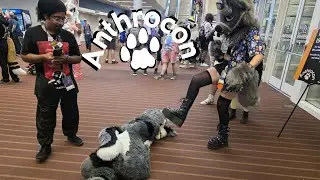 We Are Bullies! | Anthrocon Vlog 2025