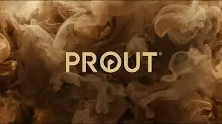 PROUT (EDM AI)