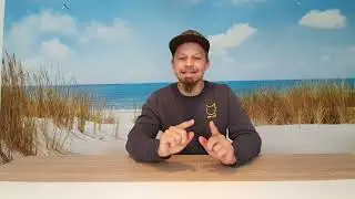 Katzensitting Portale
